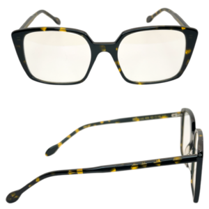 Giorgio Nannini // Filum - Eolia