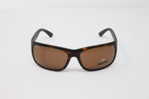 Serengeti - Pistoia 8300