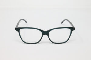 Giorgio Nannini - Filum - Bise col.005